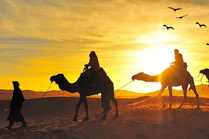 Sunrise View Desert Safari With Dune Bashing and Sand Boarding - What to Expect on Safari