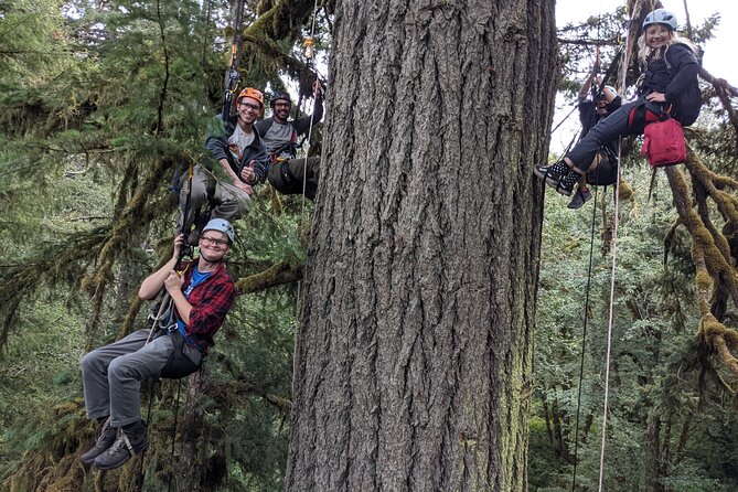 Sunset Tree Climb at Silver Falls State Park - Participant Requirements