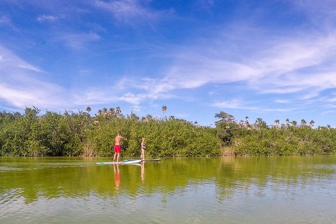 SUP Lagoon Tour- Private Paddleboard Tour - Reviews and Inquiries