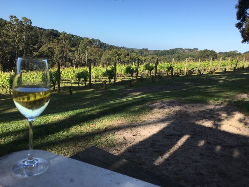 Swan Valley Wine Discovery: Private Tour From Perth - Tour Title & Directions