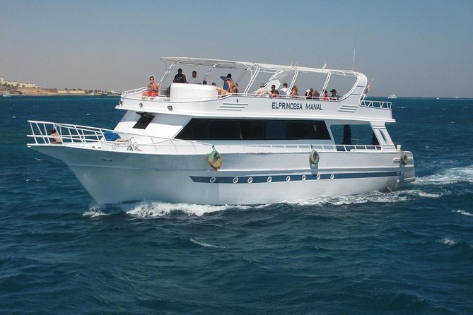 Swimming With Dolphin VIP Snorkeling Sea Trip With Lunch and Transfer - Hurghada - Recommendations for Future Guests