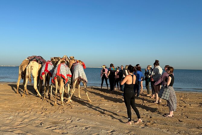 Swimming With Race Camels Experience - Cancellation Policy