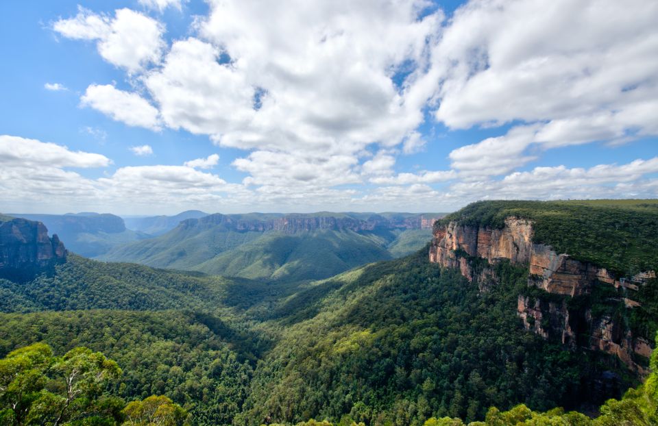 Sydney: Blue Mountains and Scenic World Private Day Tour - Highlights and Features