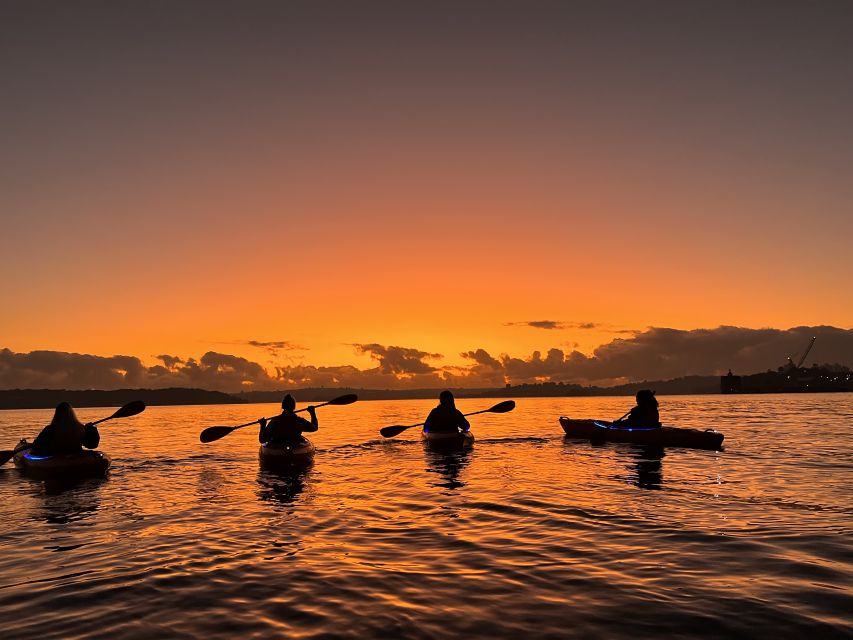 Sydney: Sunrise Kayak Tour on Sydney Harbour - Sunrise Experience Details