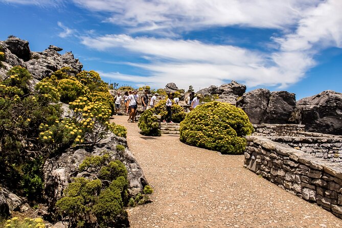 Table Mountain, Cape Point, Penguins & Boulders Beach - Logistics and Support Details