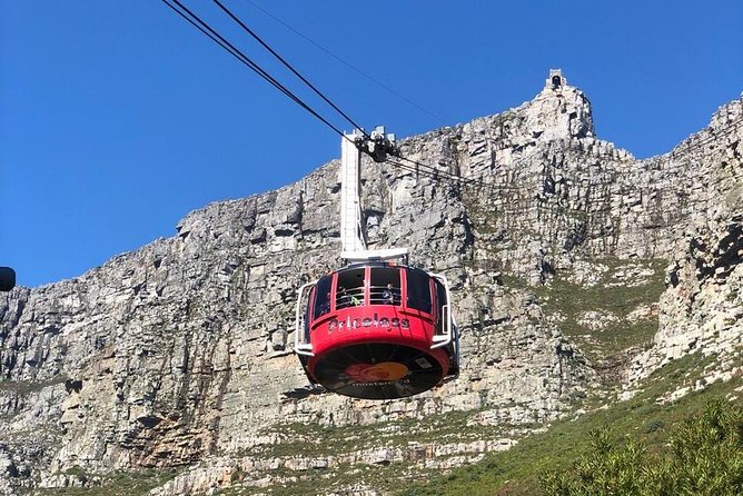 Table Mountain & Mandela Freedom Full Day Tour - Traveler Assistance