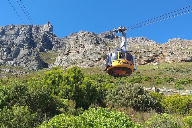 Table Mountain, Penguins, Cape of Good Hope and Stellenbosch Tour - Pricing Information