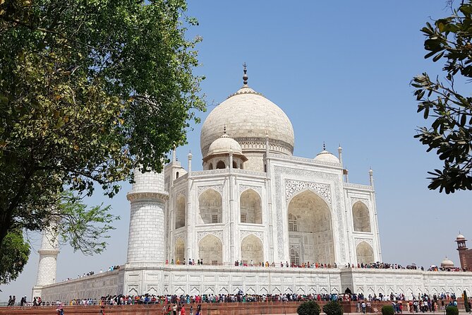 4 taj mahal agra fort tour delhi to agra a day trip Taj Mahal & Agra Fort Tour - Delhi to Agra: A Day Trip