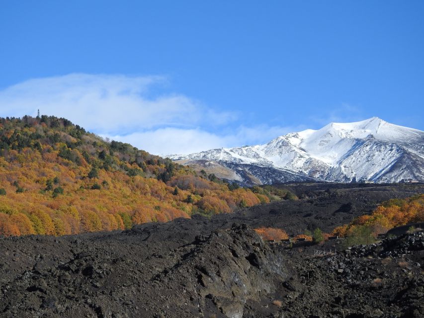 Taormina and Catania: Private Guided Etna Hike by Cable Car - Customer Reviews