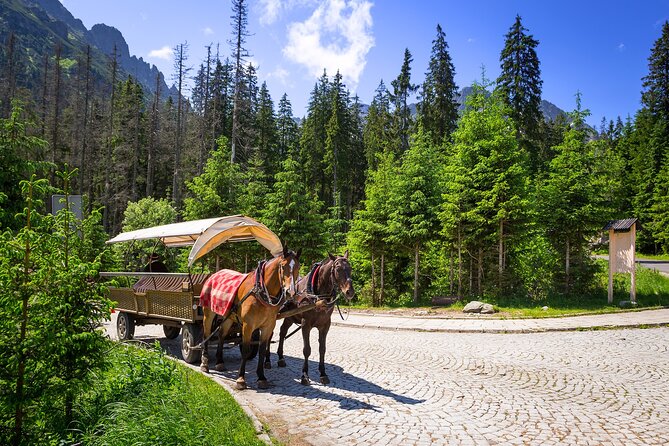 Tatra Mountains and Zakopane Full-Day Tour From Krakow - Pricing and Terms