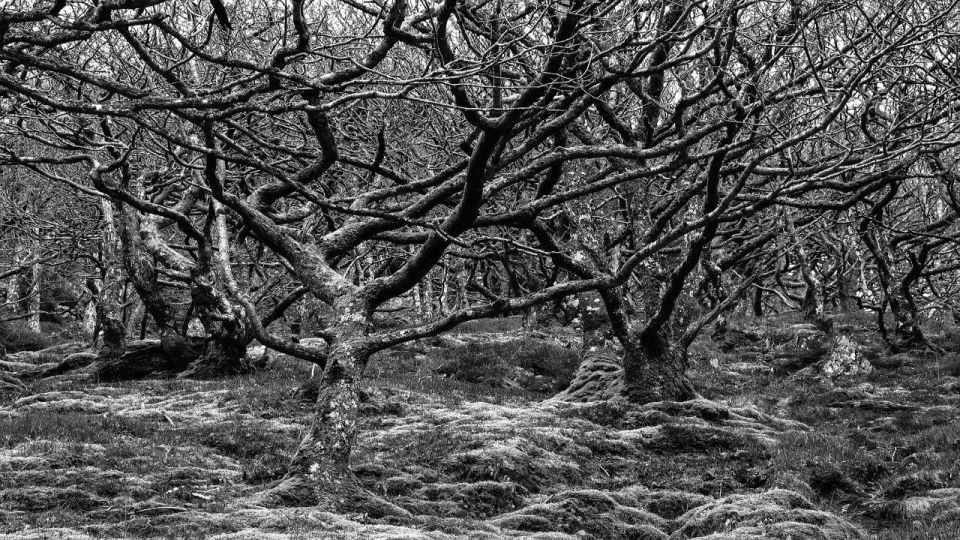 Te Anau: Natural Landmarks & Lord of the Rings Location Tour - General Information