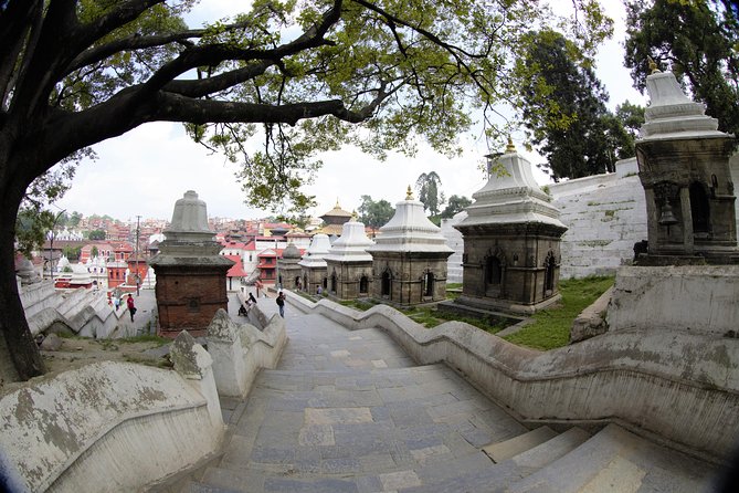 Temples and Stupas Tour in Kathmandu Valley - About the Tour Operator