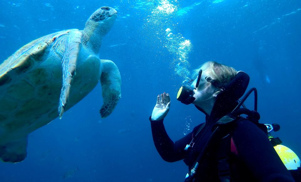 Tenerife: Beginners Scuba Dive in Puerto Colon Turtle Area - Tips for First-Time Divers