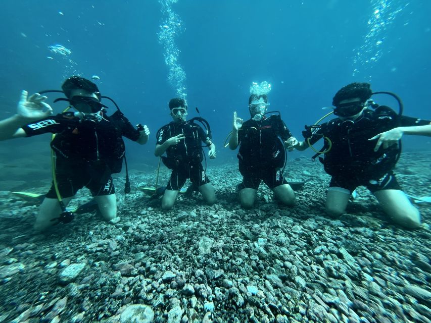 Tenerife : Diving License in One Day - Language and Instructor Information