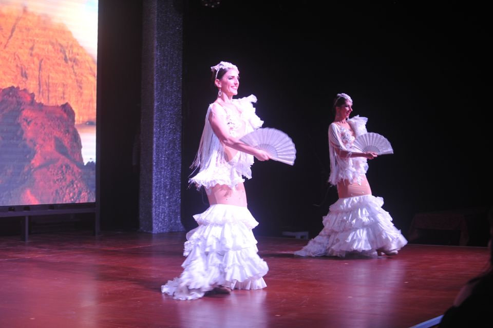 Tenerife: Flamenco Performance at Teatro Coliseo - Customer Reviews
