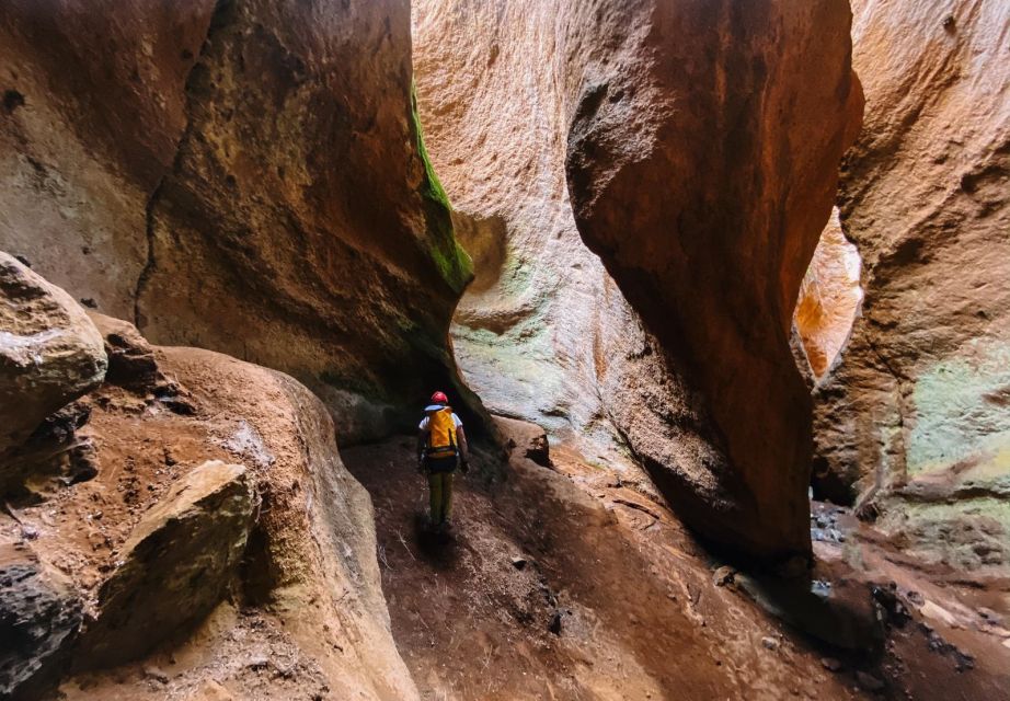 Tenerife: Guided Canyoning Experience in Los Arcos - Review Summary