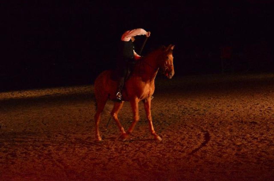 Tenerife : Horse Show Entry Ticket With Optional Dinner - Reservation Details