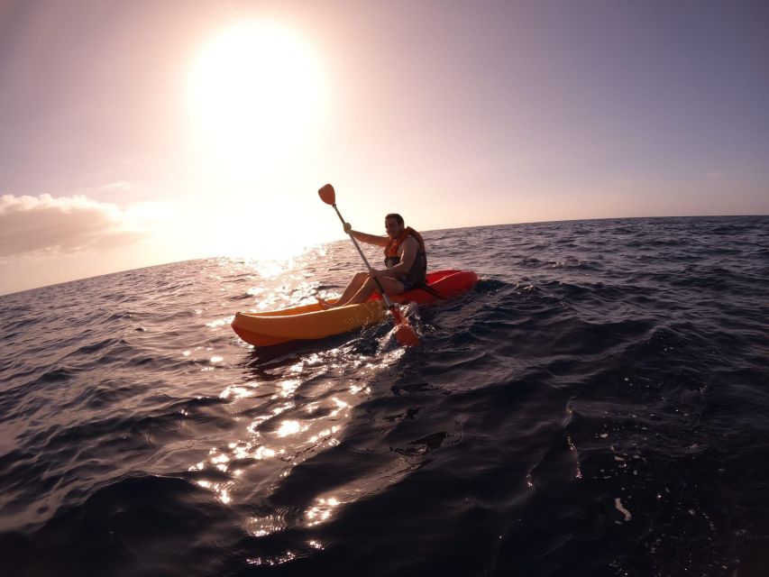 Tenerife: Kayak Safari With Snorkeling, All Inclusive - Full Description of the Experience
