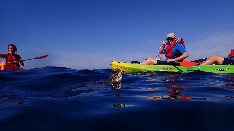 Tenerife: Kayaking and Snorkeling With Turtles - Customer Reviews