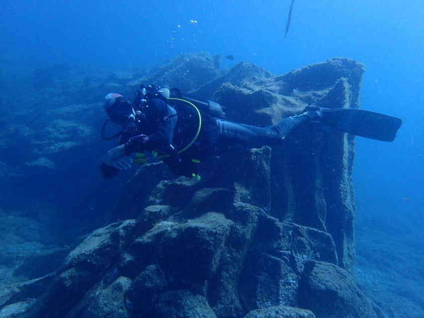 Tenerife : Pack of 2 Private Dives for Experienced Divers - Experience Highlights