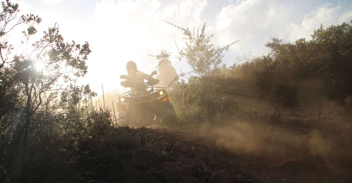 Tenerife: Panoramic Off-road Quad Bike Experience - Full Description