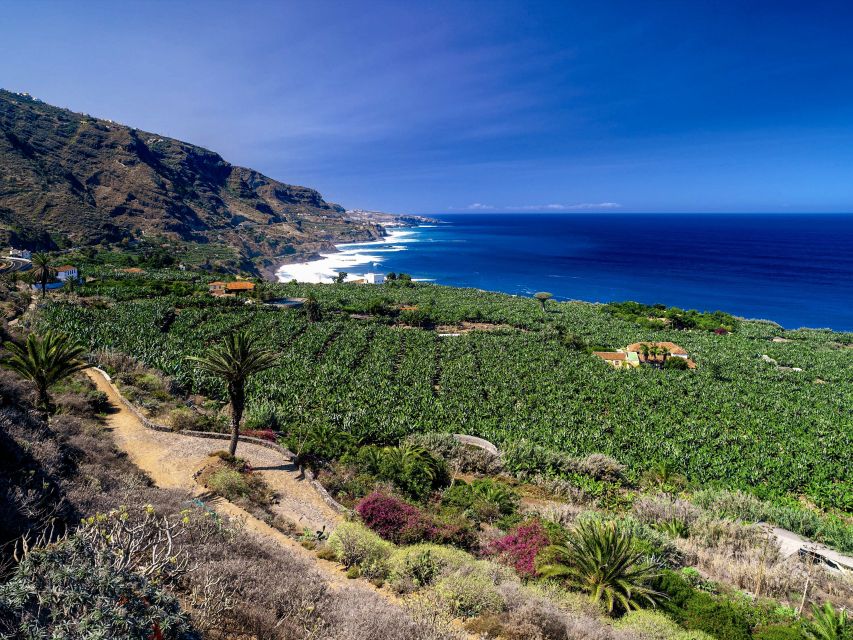 Tenerife Private Tour: Full-Day Historic North - Inclusions in the Tour Package