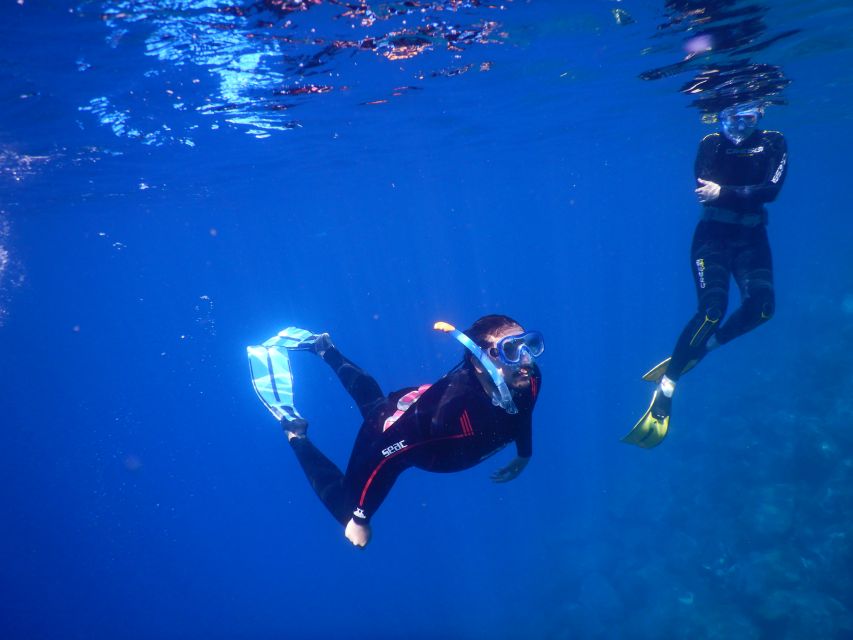 Tenerife : Snorkeling Underwater With Freediving Instructor - Customer Reviews and Recommendation