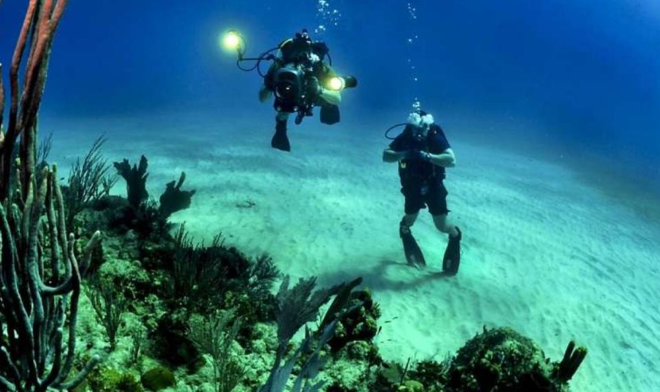 Tenerife: SSI Advanced Adventurer Diving Course - Experience Highlights and Certification
