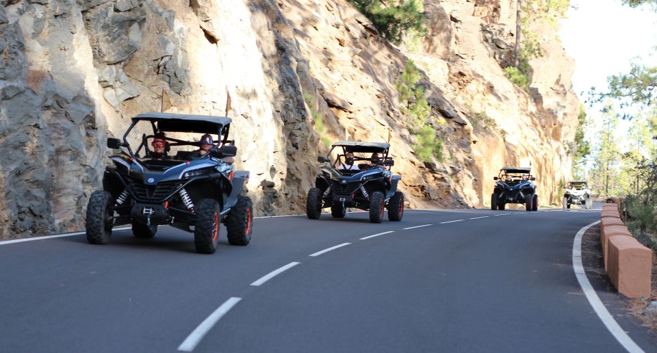 Tenerife: Teide Nacional Park Guided Morning Buggy Tour - Payment and Reservation Options