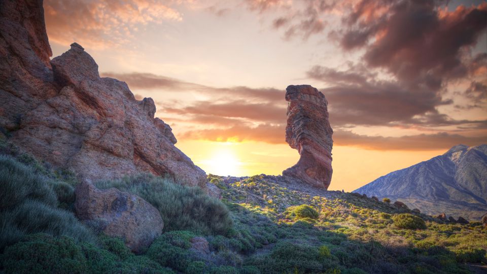 Tenerife: Teide National Park and Dolphins Sailboat Tour - Detailed Itinerary