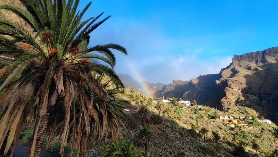 Tenerife: Teide National Park and Masca, Shared Tour (South) - Payment Options