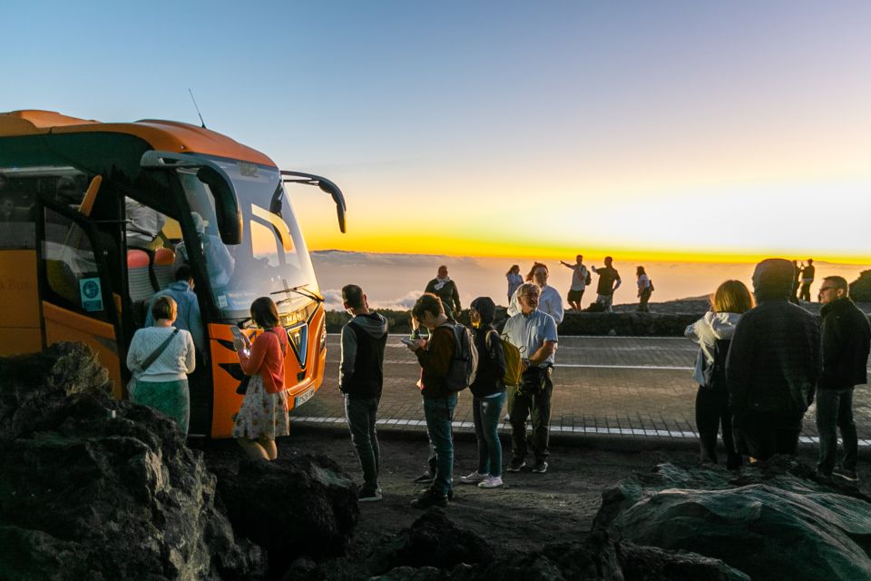 Tenerife: Teide National Park Night Sky Star Safari & Dinner - Review Summary