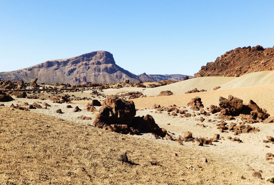 Tenerife: Teide National Park & Teno Rural Park Private Tour - Customer Reviews