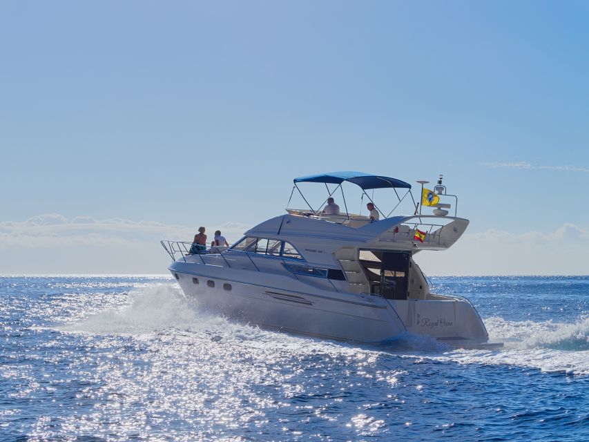 Tenerife: Whales and Snorkeling Tour on a Luxury Yacht - Payment Options