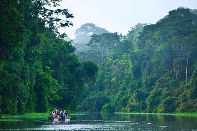 The Authentic Tortuguero National Park One Day Tour - Tour Operation Requirements