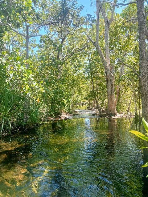 The Best Tour of Litchfield and the Giant Crocodiles. ITA - Additional Services Offered