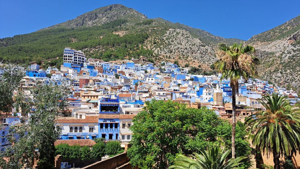 The Blue Magic Marvel: Fez to Chefchaouen Day Tour" - Last Words