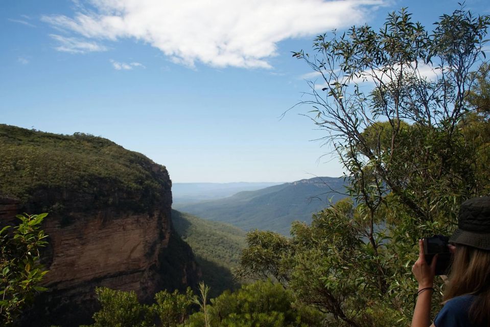 The Blue Mountains Small Group Insider Tour - Customer Reviews