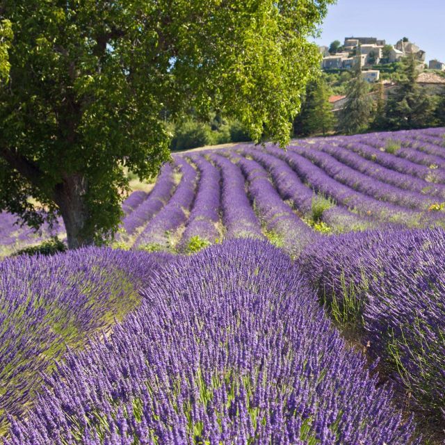 The Gorges Du Verdon & Its Lake Full Day Tour - Gorges Du Verdon Location