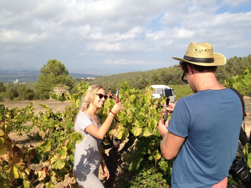 The Penedès: Cava Winery Small Group Tour - Last Words