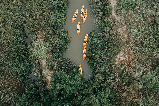 Thousand Islands Mangrove Tunnel Kayak Tour With Cocoa Kayaking! - Booking Information