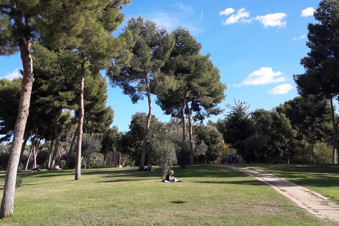 Three Parks of Valencia Private Bike Tour - Common questions