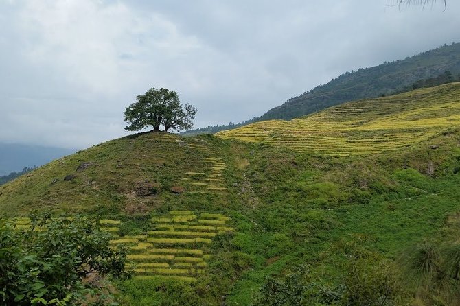 Tinsure Hill - Nepal Village Trek - Refund and Cancellation Policies