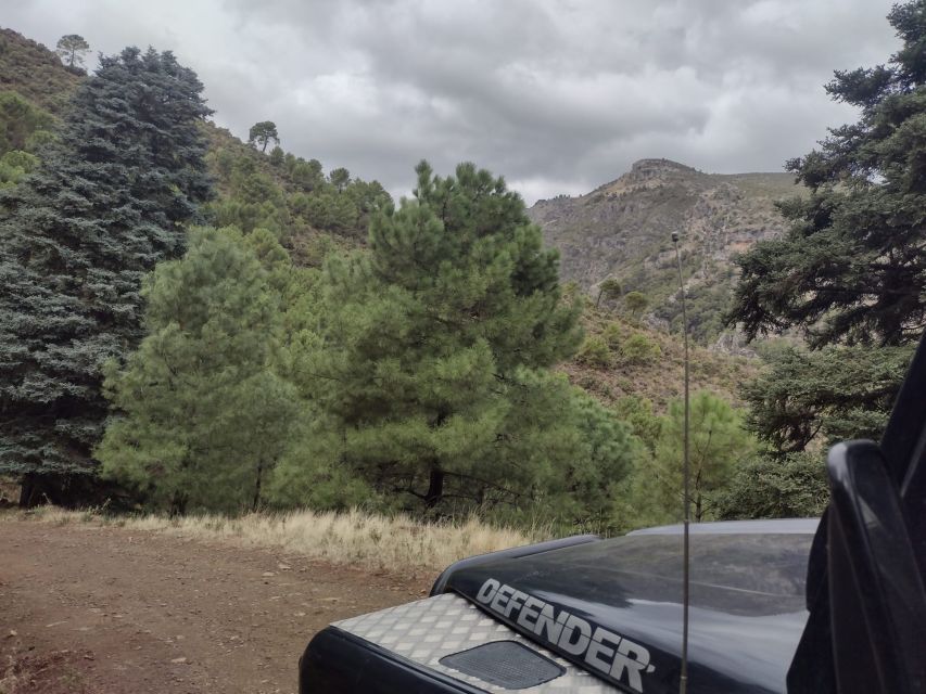 Tolox: Sierra De Las Nieves National Park Private 4x4 Tour - Local Product Tasting