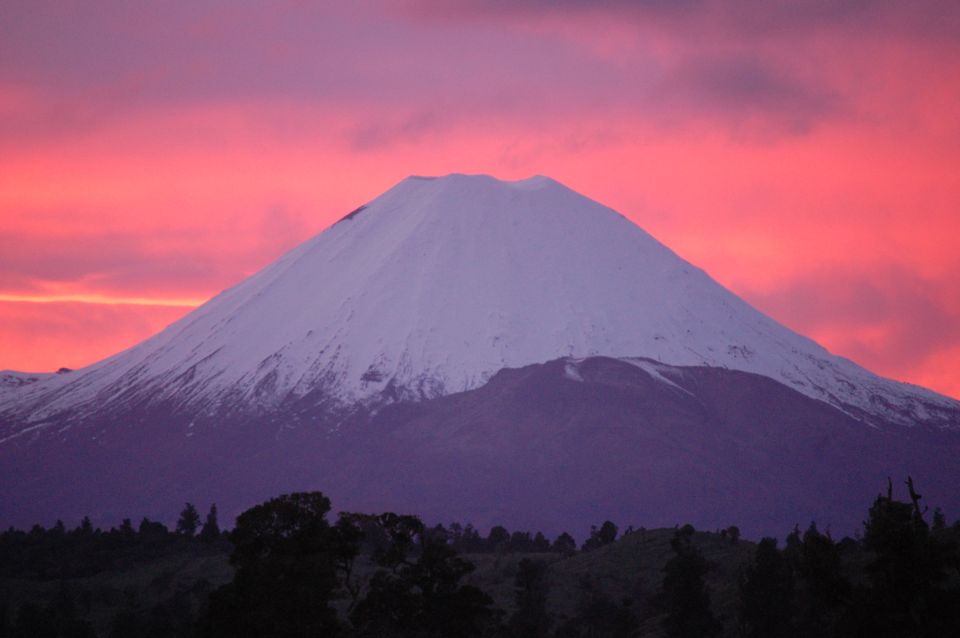 Tongariro Alpine Crossing: Hike Trail Roundtrip Shuttle - Review Summary