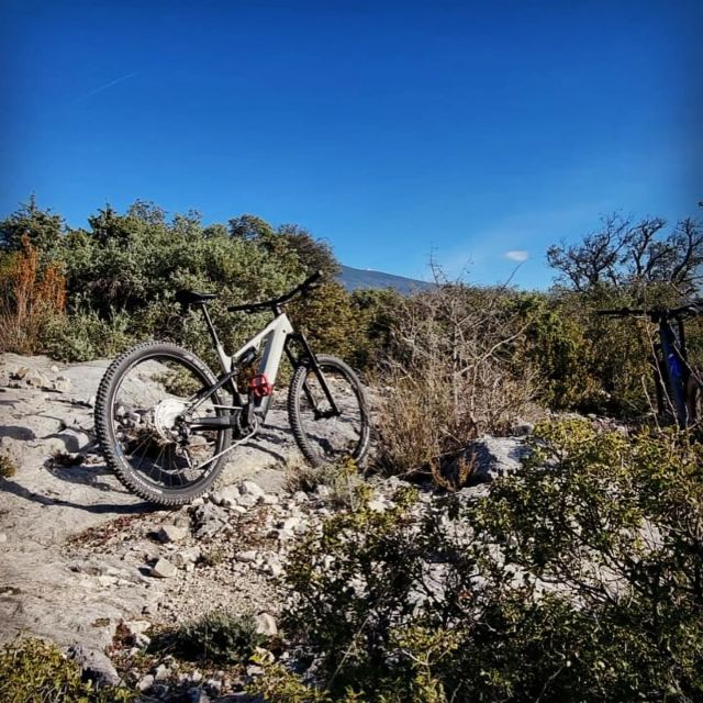 Torreilles: Bike Rental - Last Words