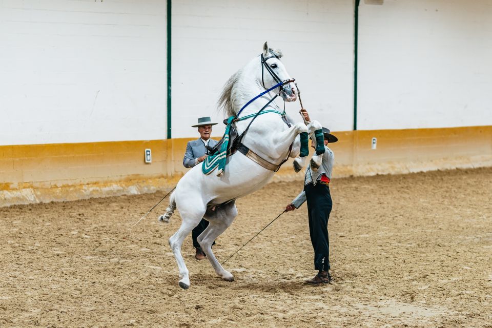 Torremolinos: Andalusian Horse Show With Flamenco Dance - Booking Information