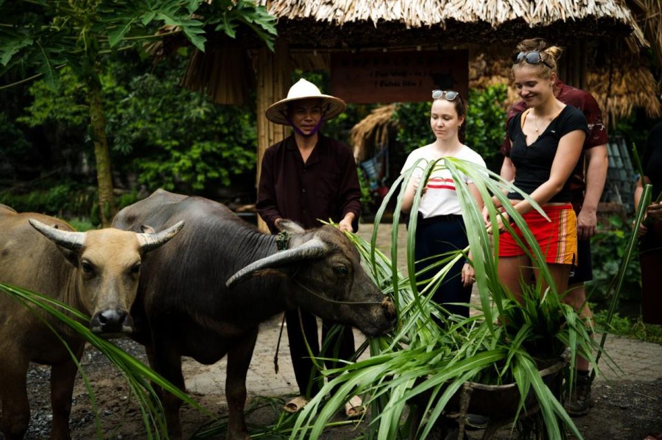 Tour Experience Riding Buffalo,Fishing, Boating and Mua Cave - Boating at Tam Coc
