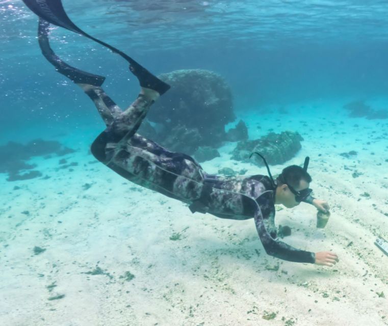Tour Freediving Phu Quoc: Fascinating Free-Diving Moments - Tour Description