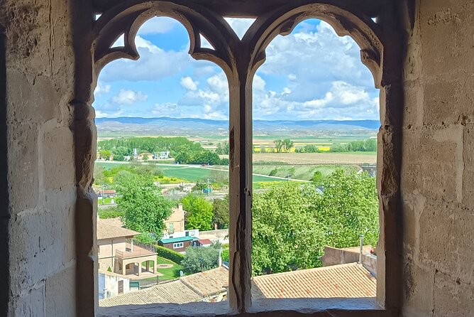 Tour of Olite and the Royal Castle. - Accessibility Details